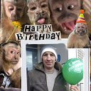 ���� ����, �����, 45 ��� - ��������� 2 ����� 2026 � ������ ���� ����������