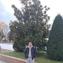 �����, ������, 44 ����