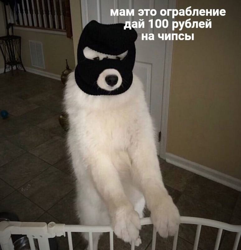    - 15  2024  14:41