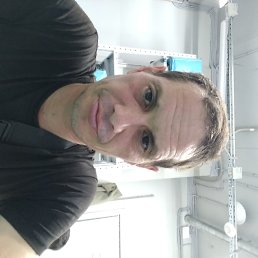 ���� �����, ������, 43 ���� - ��������� 2 ���� 2024