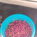 ���� ������, ���������� - ��������� 12 ���� 2026 � ������ ������ ��������