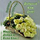 ���� ����, ������, 68 ��� - ��������� 23 ������� 2023 � ������ ���� ����������