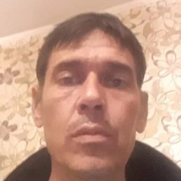 �����, �������, 48 ���