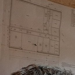 ������, �����, 51 ���