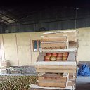 ���� �����, ������, 44 ���� - ��������� 11 ������� 2024 � ������ ���� ����������