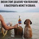 ���� ����, ��������� - ��������� 21 ������ 2026 � ������ ������ ��������