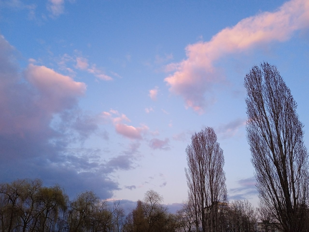 ���� ������� - 6 ������ 2026 � 19:54 - 4
