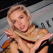 �����, 26 ���, ������