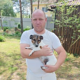 ���� �������, �������, 42 ���� - ��������� 4 ������ 2026