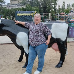 ���� ��������, ���������, 66 ��� - ��������� 15 ����� 2026