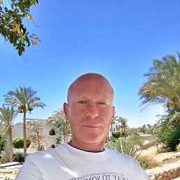 ���� �������, �����, 49 ��� - ��������� 2 ������ 2024