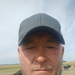 , 46, 