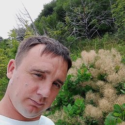 ������, ������, 39 ���