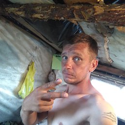 , 33, 