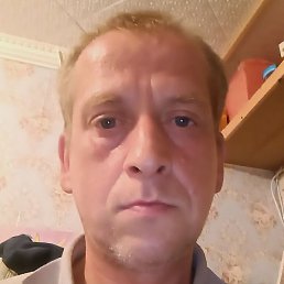 �������, ������, 46 ���