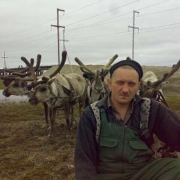 ���� �����, �������, 48 ��� - ��������� 27 ������� 2023