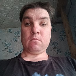 , 37, 