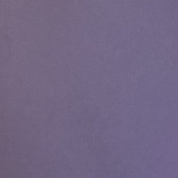 ����� ����������, ������, 61 ���