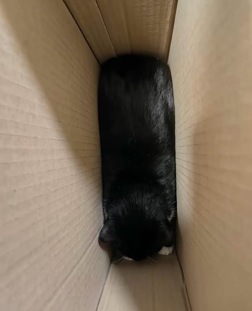 ������� ����������� �� ��������������� ������ - 4