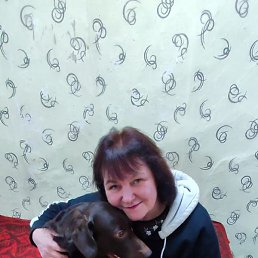 �����, �����, 54 ����