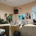���� �����, ����� - ��������� 17 ������� 2025 � ������ ������ ��������