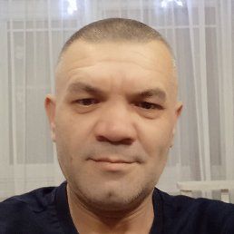 �����, �������, 46 ���