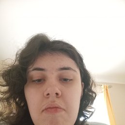 , 26, 