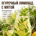 ���� �����, ������, 42 ���� - ��������� 24 ���� 2026 � ������ ������ ��������