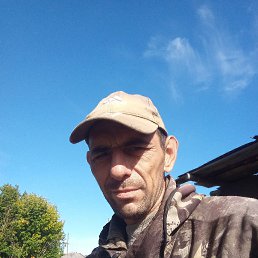 ���� �������, ������, 44 ���� - ��������� 2 ������ 2023