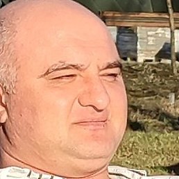 �����, �����-���������, 43 ����