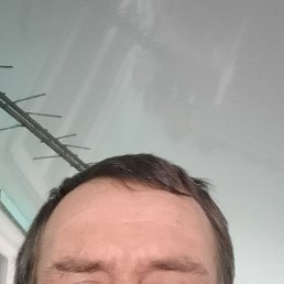 ������� ���������, 46 ���, ������