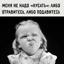 ���� �����, �����-���������, 40 ��� - ��������� 22 ���� 2025 � ������ ���� ����������