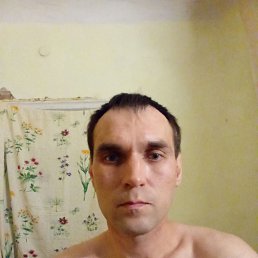  , , 40  -  8  2025