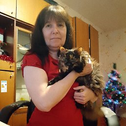 ���� �����, ������ ��������, 50 ��� - ��������� 4 ������ 2026