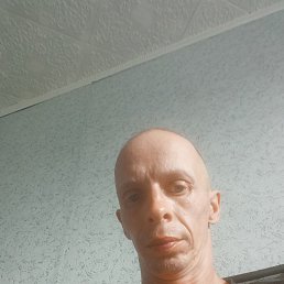 , 37, 
