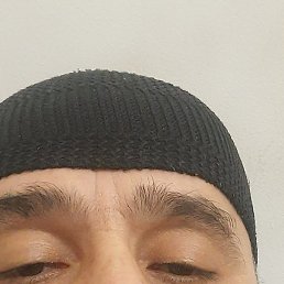, , 51 