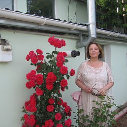  Rumma, , 79  -  1  2024
