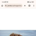 ���� ������, ��������, 52 ���� - ��������� 26 ������ 2025
