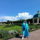  ,  -  5  2025       ,    ,     .