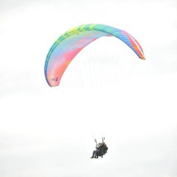 ��������, ������, 29 ���