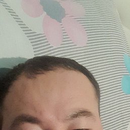 ����, �������, 40 ���