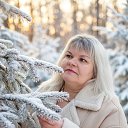 ���� ��������, ������, 55 ��� - ��������� 2 ������� 2026 � ������ ���� ����������