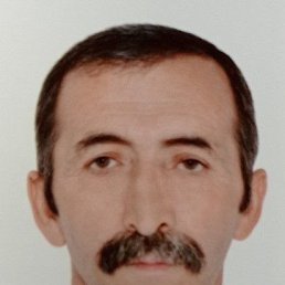  , 61 , 