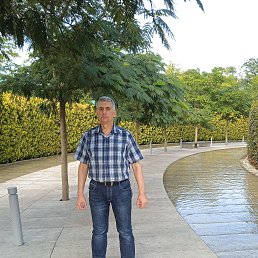 , 54, 