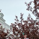 ���� �������, �����, 59 ��� - ��������� 22 ����� 2026 � ������ ���� ����������