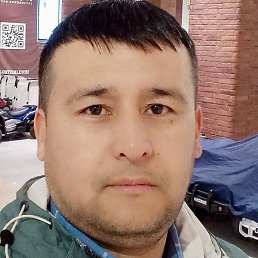 ���������, �����, 41 ���