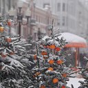 ���� ������ ����, ������, 49 ��� - ��������� 10 ������ 2026 � ������ ������ ��������