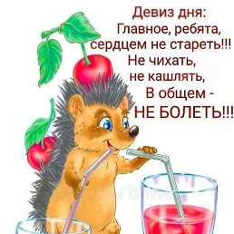 ����, ������, 64 ����