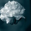 ���� ����, ���, 49 ��� - ��������� 25 ������� 2023 � ������ ���� ����������