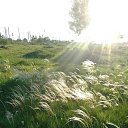 ���� �����, ������, 57 ��� - ��������� 27 ������� 2023 � ������ ���� ����������